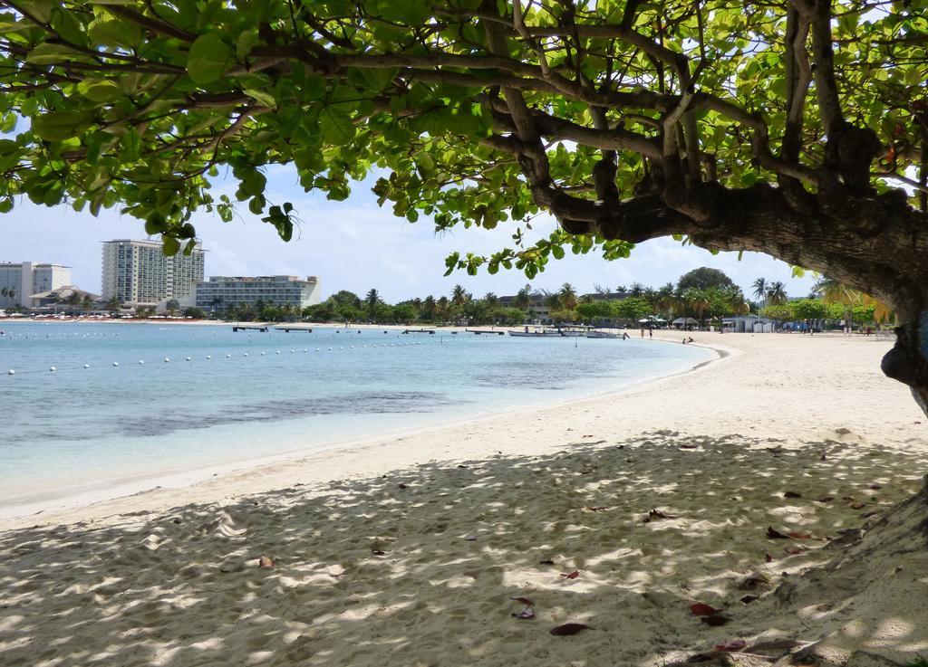 Beach One Bedroom Suite C5 Ocho Rios Buitenkant foto